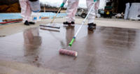 Application of the primer